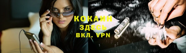 гашик Слюдянка