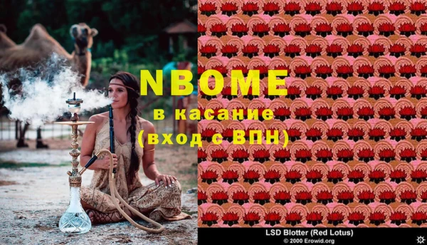 твердый Верея