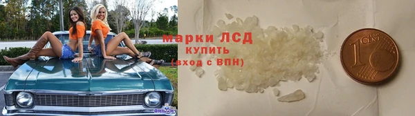 гидра Вязники