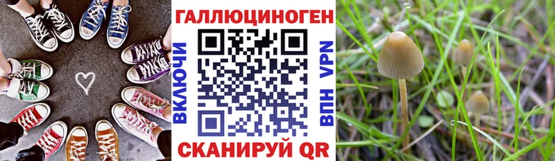 Псилоцибиновые грибы GOLDEN TEACHER купить цена Заволжье